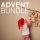 ADVENT BUNDLE